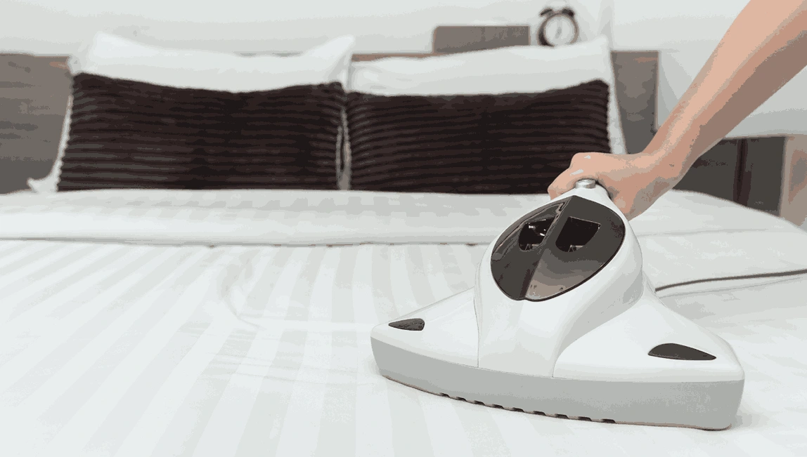Professional Mattress Cleaning Bannockburn